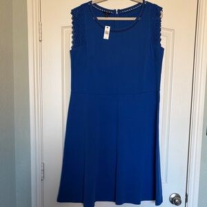 Talbots Royal Blue eyelet Lace Midi knit jersey fit & flare Dress sz 1X new NWT